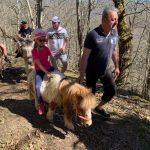 La ballade tous les matins